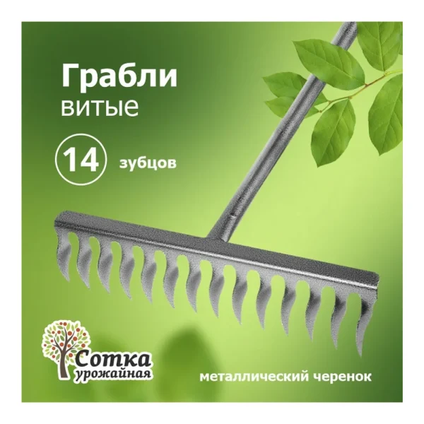 4603777900588-1.webp