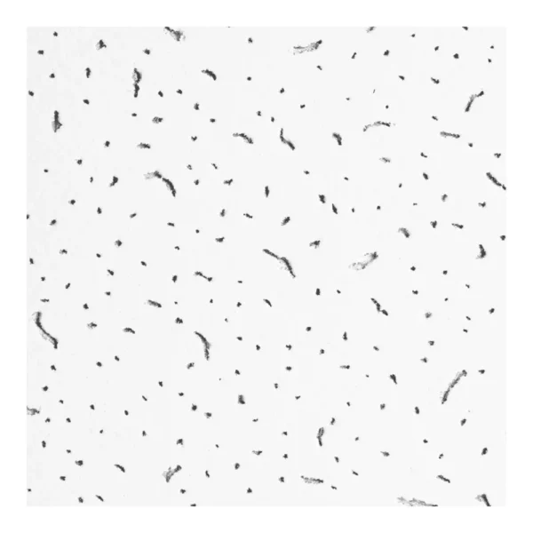 2200190303563-1.webp Панель потолочная 600х600х12мм ARMSTRONG - фото 1